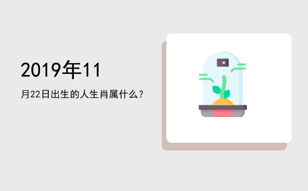 2019年11月22日出生的人生肖属什么?