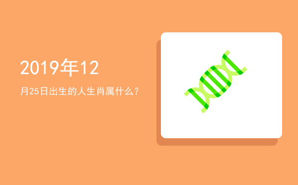 2019年12月25日出生的人生肖属什么?