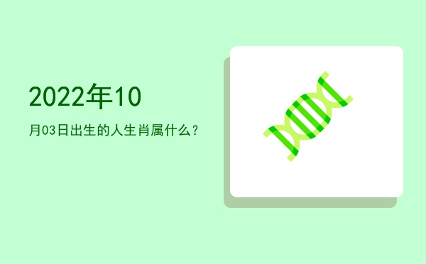 2022年10月03日出生的人生肖属什么?