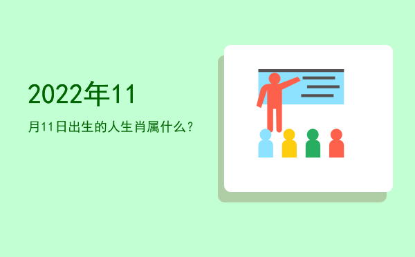 2022年11月11日出生的人生肖属什么？