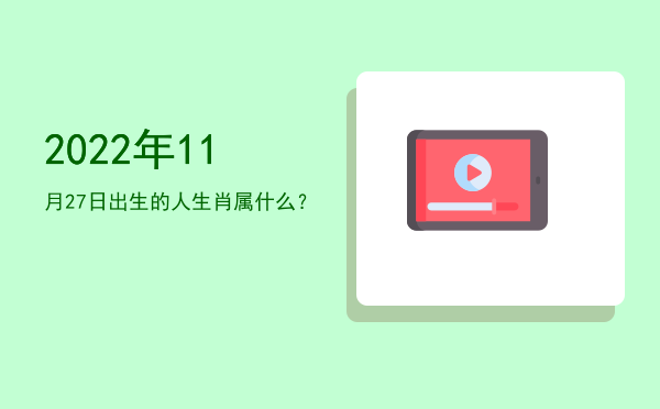 2022年11月27日出生的人生肖属什么?