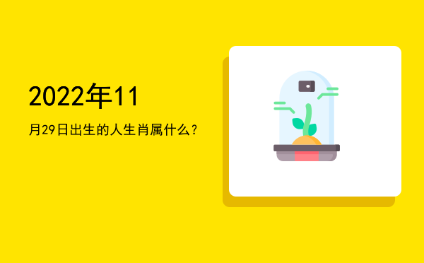 2022年11月29日出生的人生肖属什么?