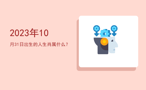 2023年10月31日出生的人生肖属什么?