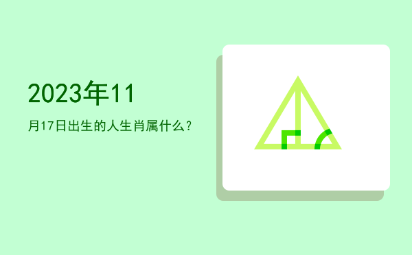 2023年11月17日出生的人生肖属什么?
