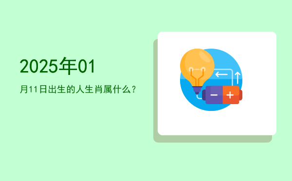 2025年01月11日出生的人生肖属什么?