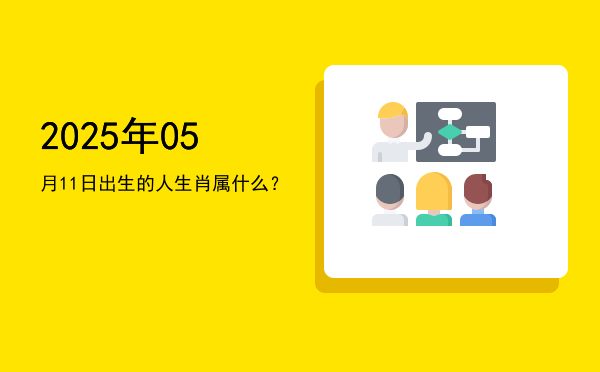 2025年05月11日出生的人生肖属什么?